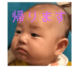 363810658