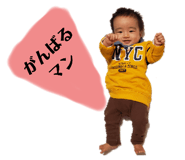 363892955