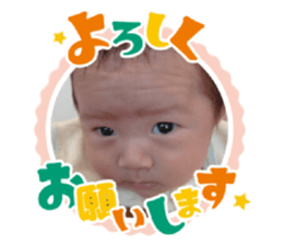 363955006