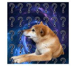 363998874