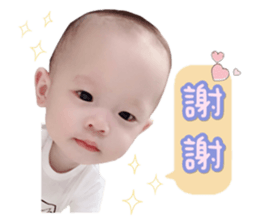 364033738