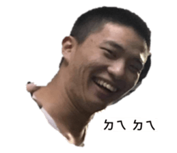364048176