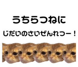 364174186
