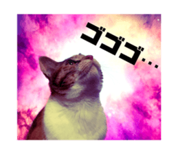 364209437