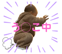 364249685