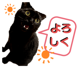 364272465
