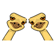 364342177