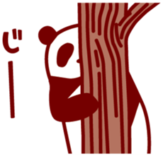 3643556
