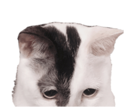 364457392
