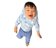36453776