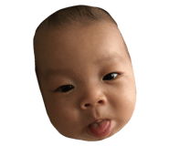 36453783