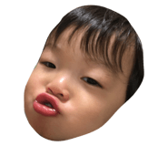 36453784