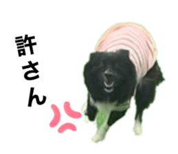 364545327
