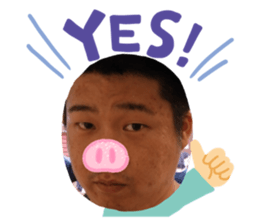 364557688