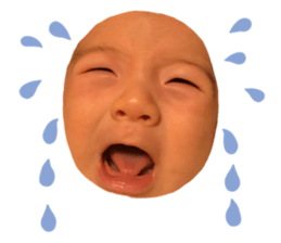 364563202