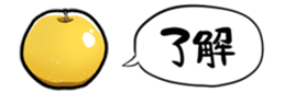 364563416