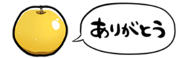 364563420