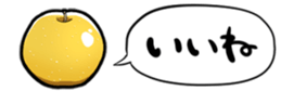364563428