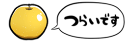 364563445