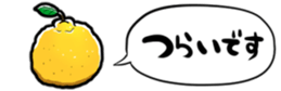 364567837