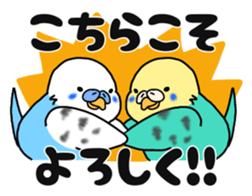 364592515