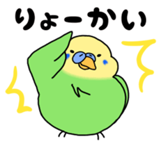 364592525