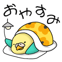 364592529