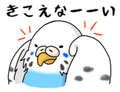 364592541