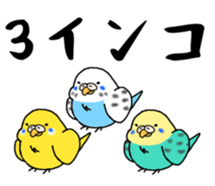 364592549