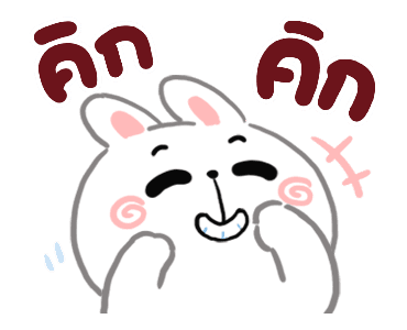 ลายที่ 13