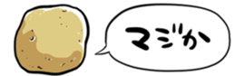 364625546