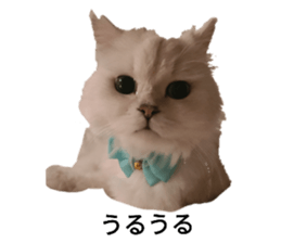364654912