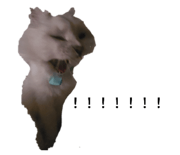 364654914