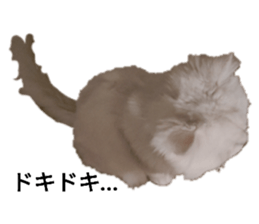 364654920