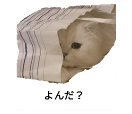 364654940