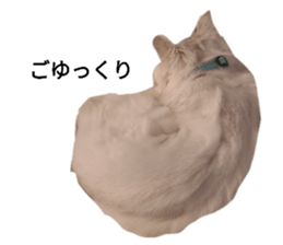 364654946