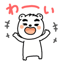 3646921