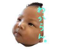 364759018