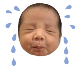 364868739
