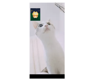 364884188