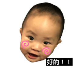 364916911