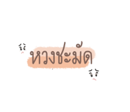 364944081
