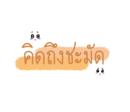 364944082