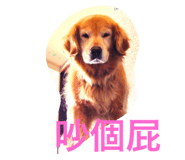 36500161