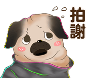 365017686