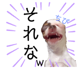 365041543