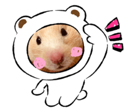 365088448