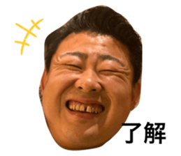 365098198