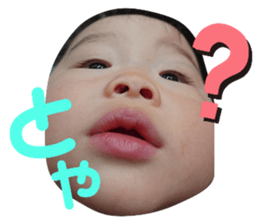 365105081