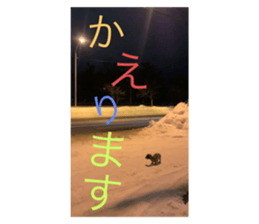 365165311